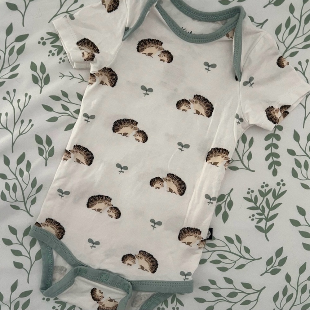 Kyte Baby Green Trim Hedgehog Baby Onesie Bodysuit